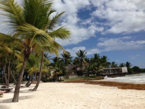 Led by HLF Co-Founder Therese Lundqvist, a group of volunteers traveled to the DR to help HLF's community partner Together for Better.